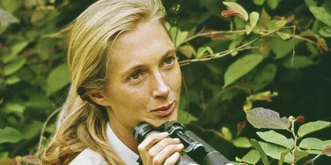 Jane Goodall