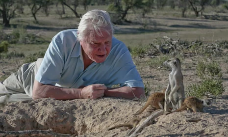 David Attenborough